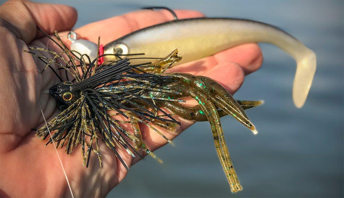 Has the Swimbait Dethroned the Jig? - Wired2Fish