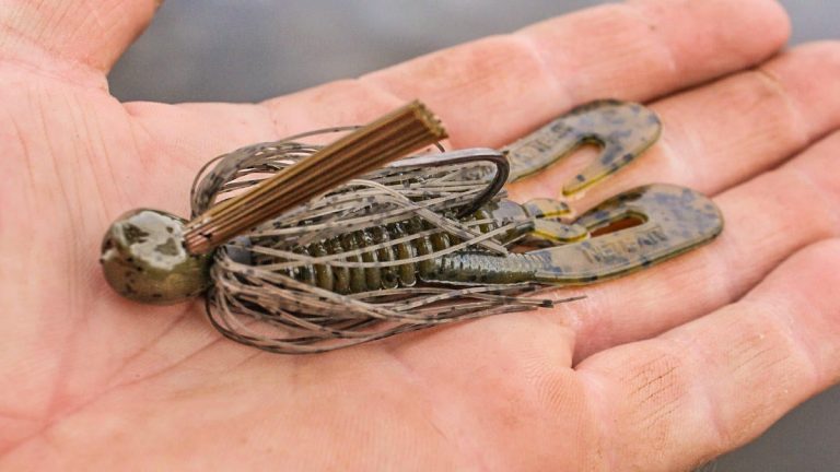 5 Bass Fishing Baits for Shallow, Cold Water