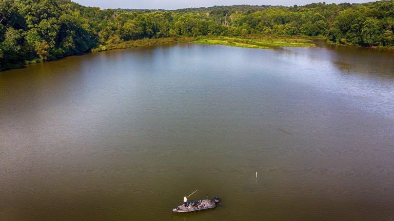 7 Tips to Make Big Swimbait Bass Bite