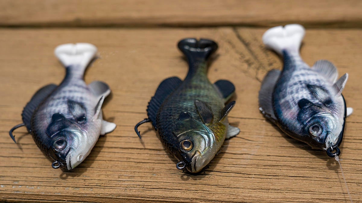 Savage Gear Pulse Tail LB Bluegill Swimbait Review - Wired2Fish