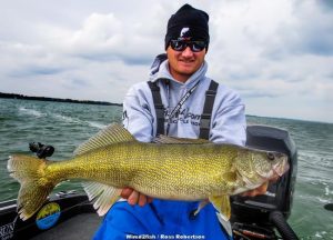 A Plan for Big Water Walleyes in the Fall