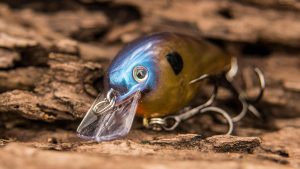 Strike King 1.0 Squarebill Crankbait Review