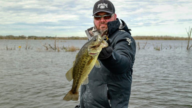 Why to Tie on a Bladed Jig Every Time You Fish