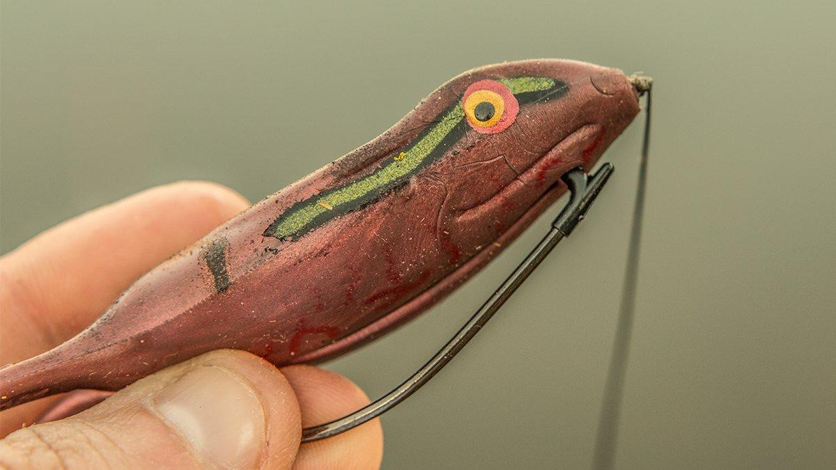 Zoom Frog Review - Wired2Fish