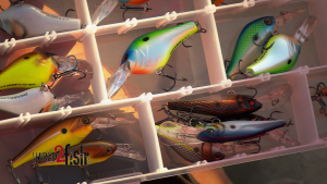 A Look at New 2016 Berkley Bass Fishing Crankbaits