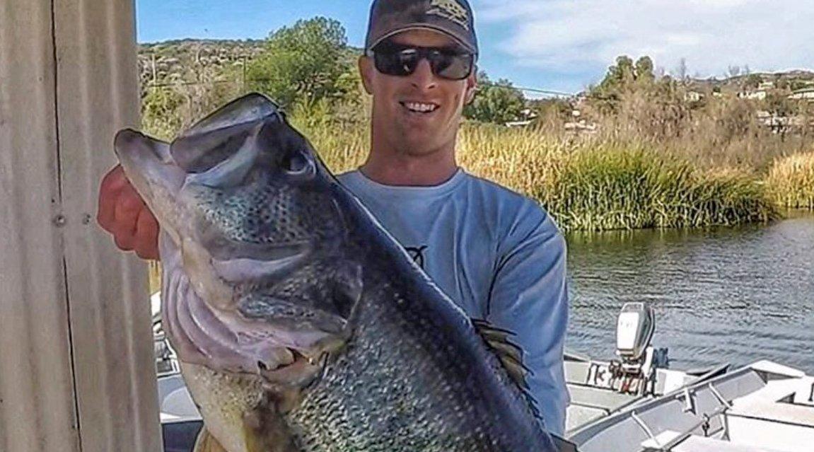 Monster 16-pound Bass Caught in California - Wired2Fish