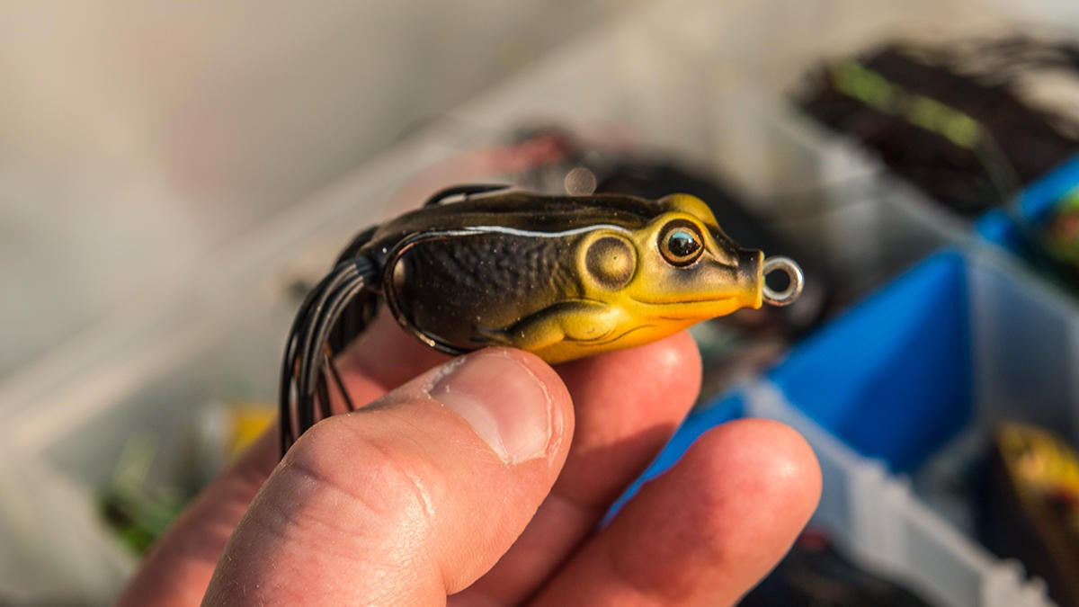 How and Why to Change Your Frog Hook - Wired2Fish