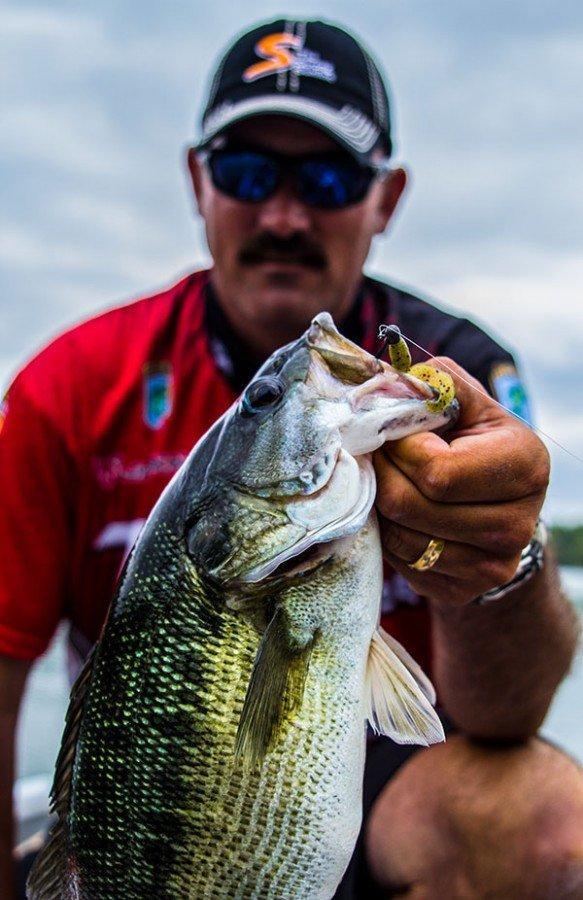 Spring Bass Fishing with the Micro Bass Grub