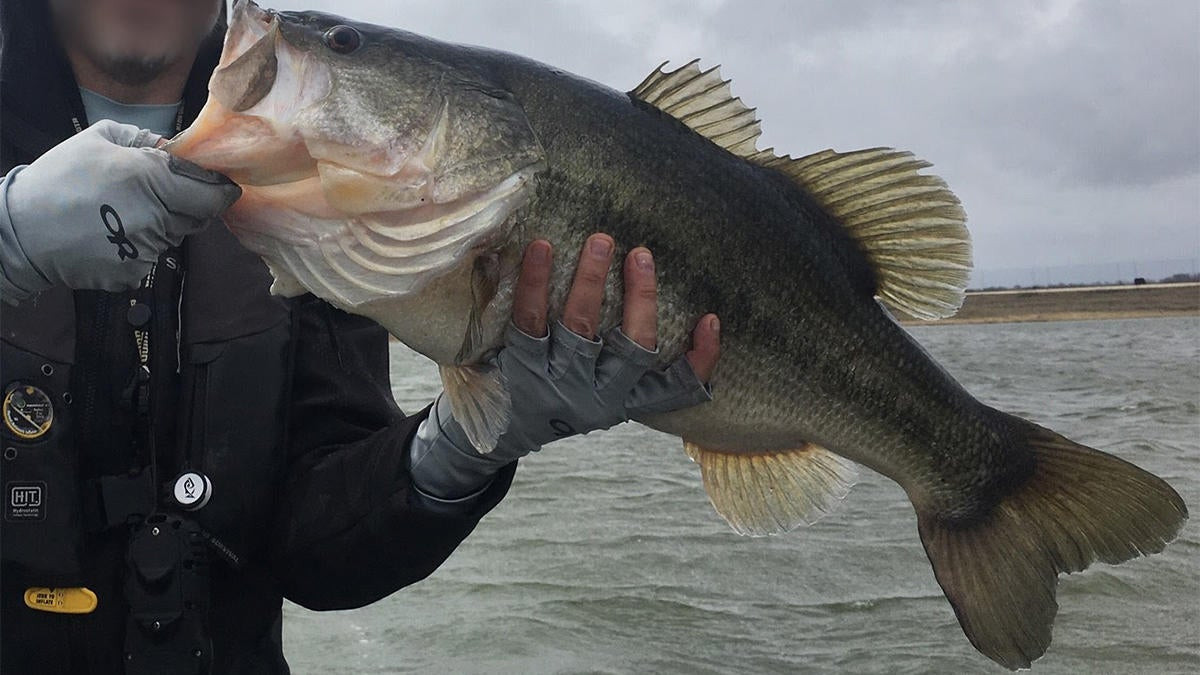 BassForecast Predicting Top-Producing Lures This Spring - Wired2Fish