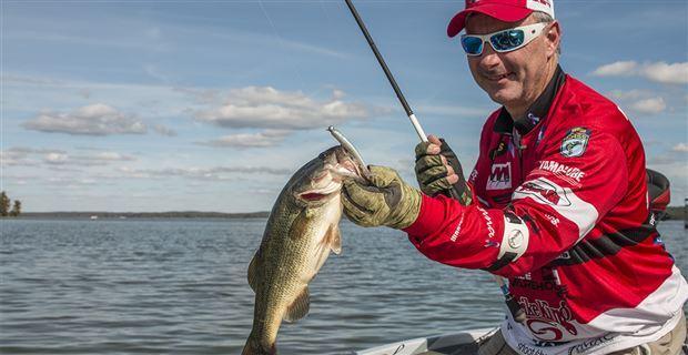 5 Things to Know about Small Swimbaits - Wired2Fish