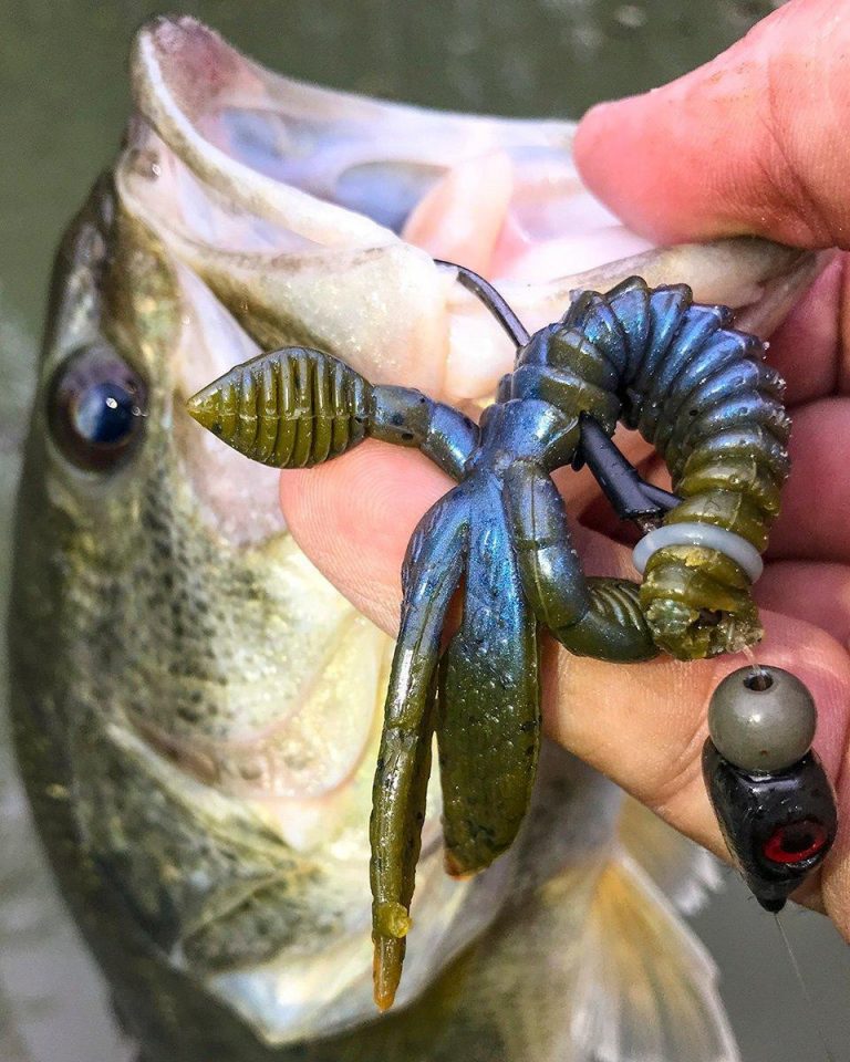 Jenko Fishing Creature Weight Review