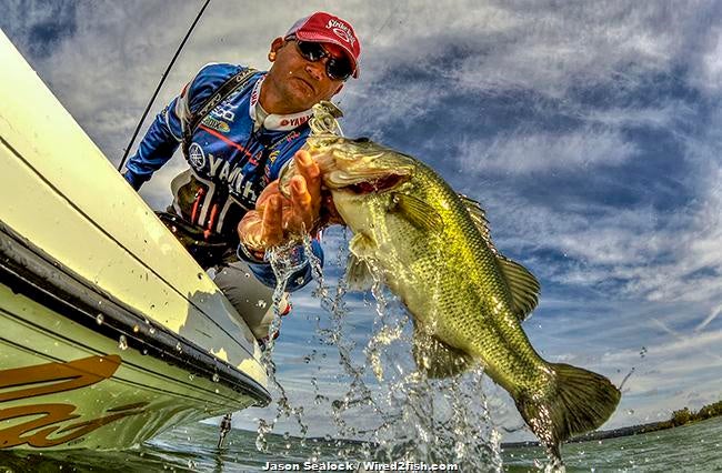 Pro Bass Class to Be Held on Toledo Bend
