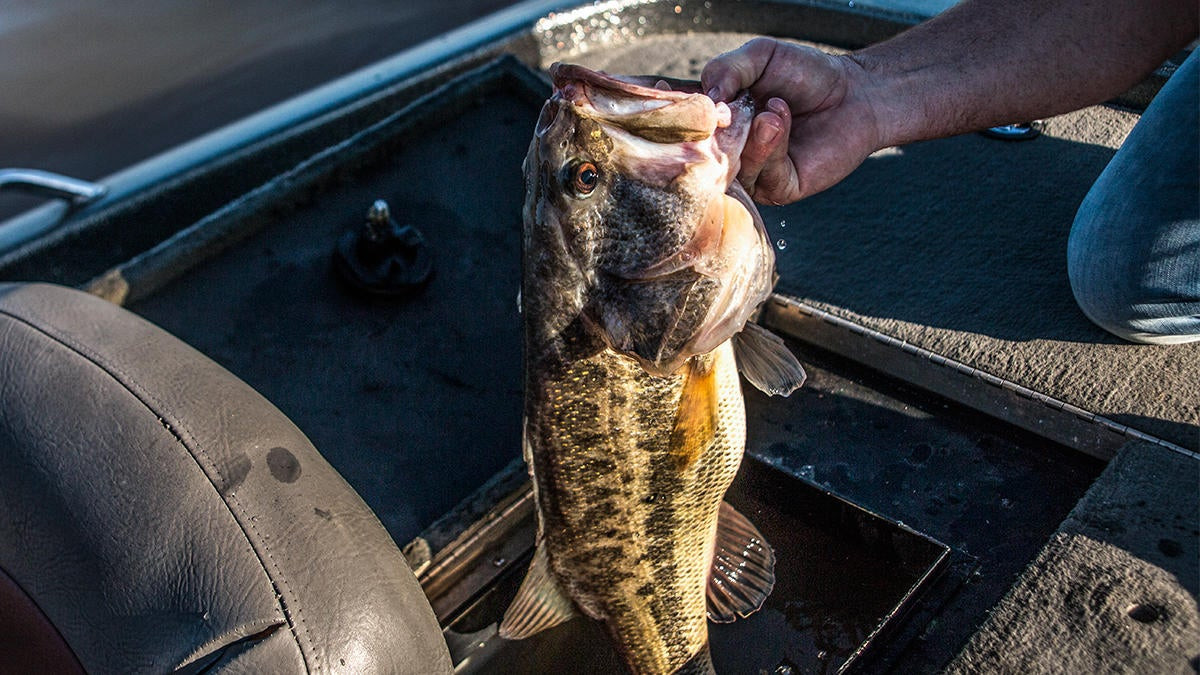 Easy Livewell Modification That Can Save Serious Money - Wired2Fish