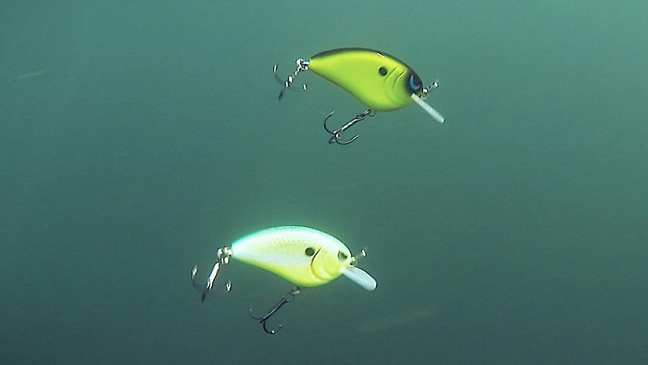 Hard Contrast Crankbait Colors  What it Looks Like Underwater - Wired2Fish