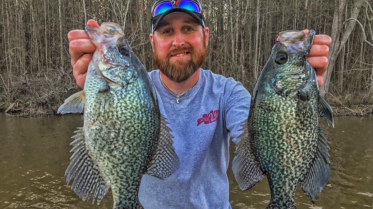 Can Crappie Ruin a Pond? - Wired2Fish