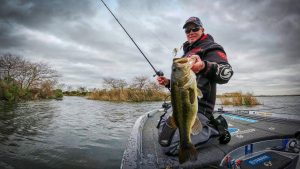 Catching HUGE Bass on Buzzbaits