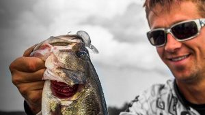 Fishing Crankbaits for Clearwater Bass