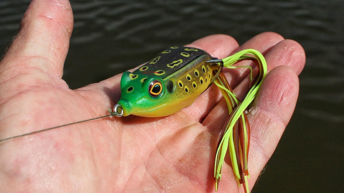 bass fishing frog, bass fishing frog Suppliers and Manufacturers at
