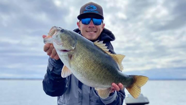 Smallmouth x Largemouth Hybrid Bass Certified as World Record by IGFA