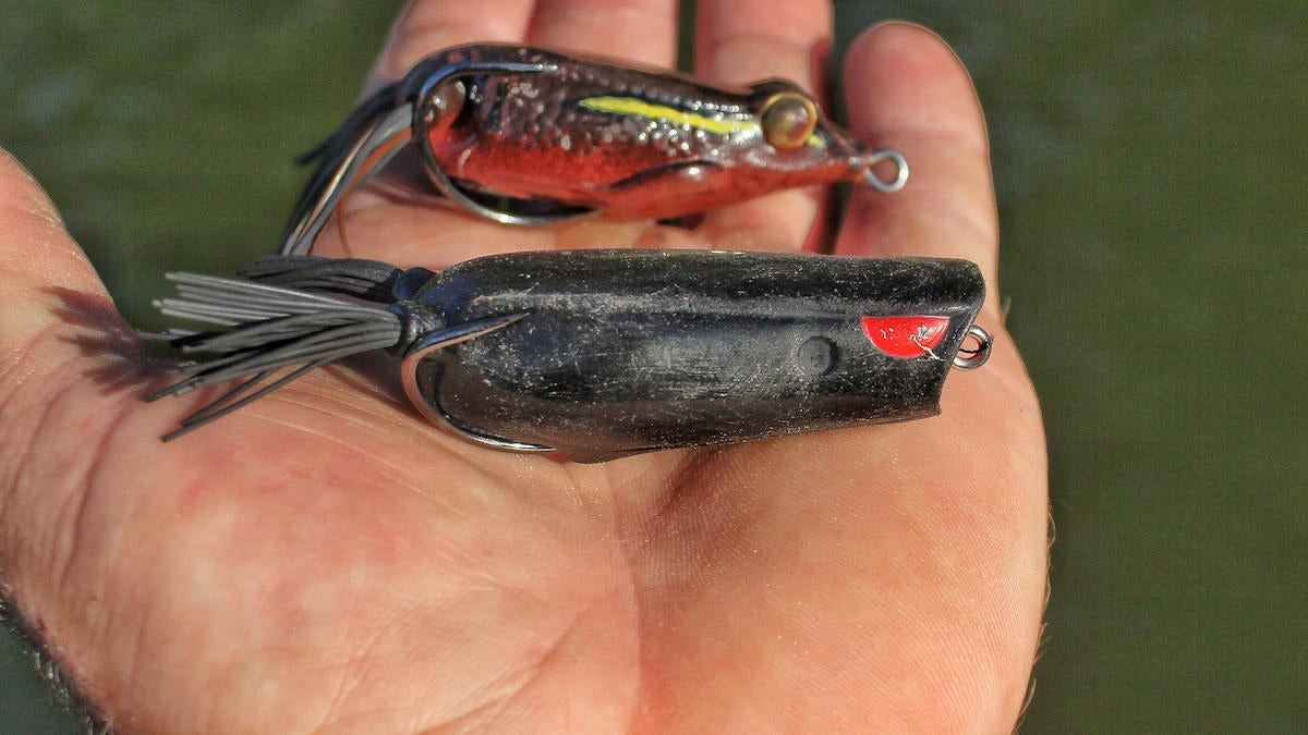 2 Go-To Rod Setups for Frog Fishing Bass - Wired2Fish