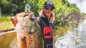 Frog Fishing Tips for More Bass: Size and Color Matters