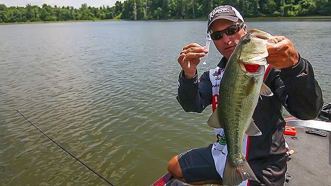 Matching Forage Size for Schooling Bass