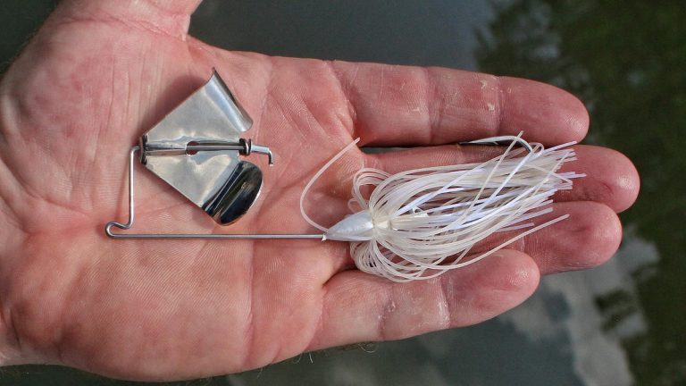 5 Must-Have Beginner Baits for Bass Fishing