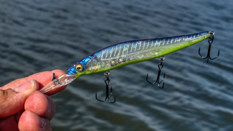 Megabass Vision ONETEN+2 Review