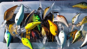 Crankbait Color Selection Tips and When to Change