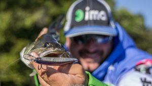 Unconventional Coldwater Jerkbait Tips