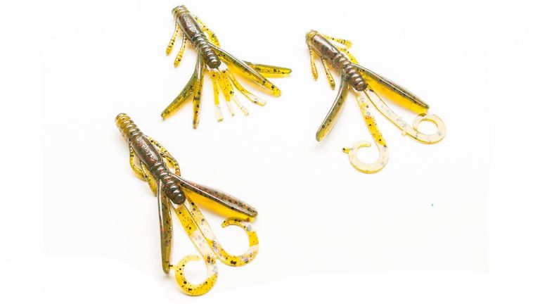 21 Ned Rig Baits for Bass Fishing in 2021