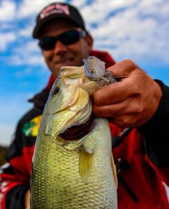 How to Fish a Wake Bait Like a Bass Fishing Pro