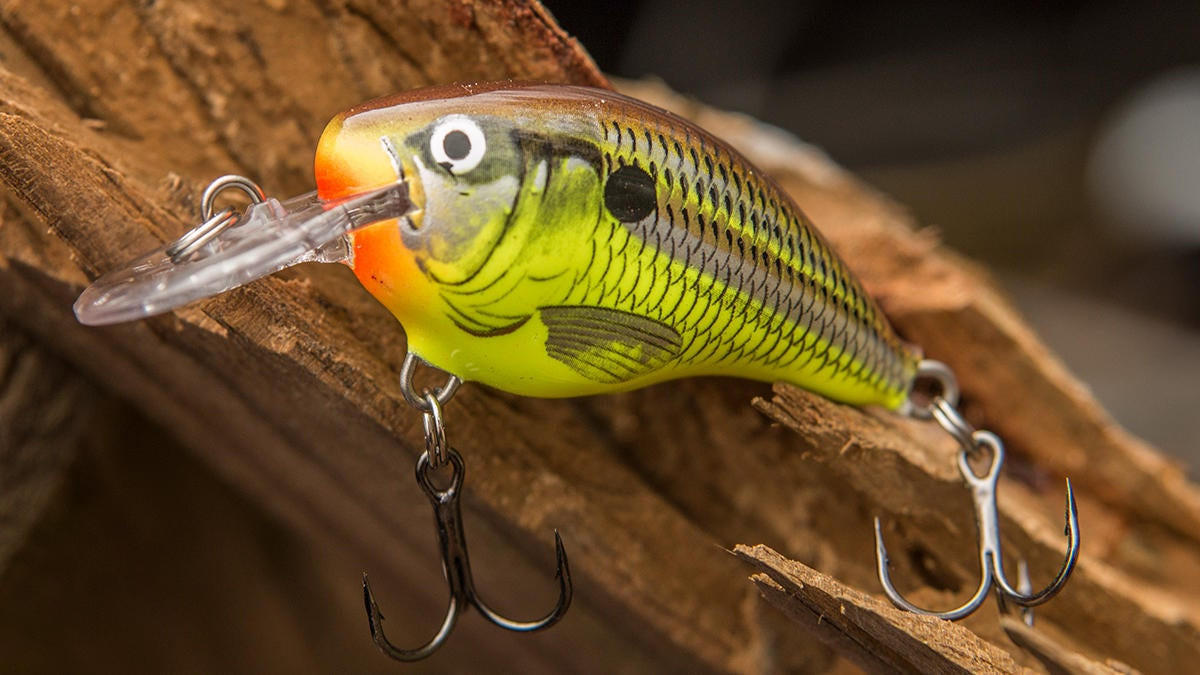 Rapala DT-4 Crankbait Review - Wired2Fish