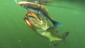 A First Look at Braided Treble Hooks for Hard Baits