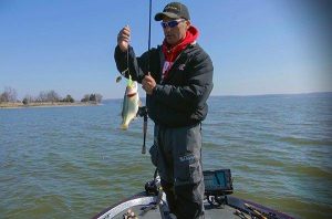 Slow Rolling Spinnerbaits for Prespawn Bass