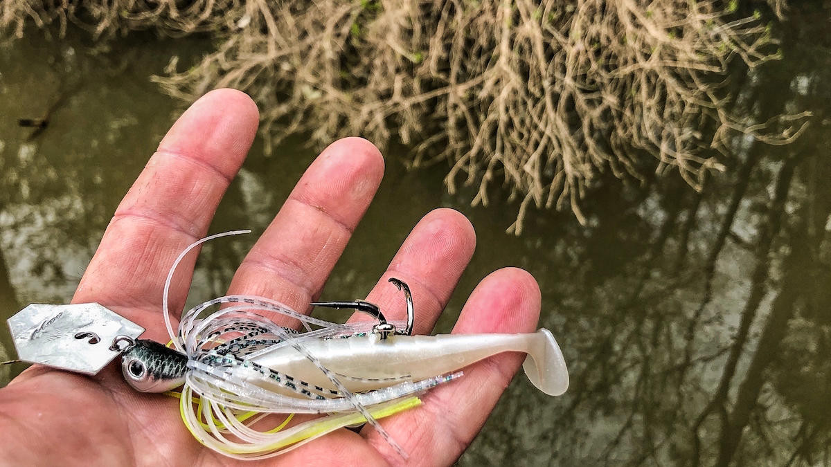 5 Baits for Power-Skipping Bushes Around the Spawn - Wired2Fish