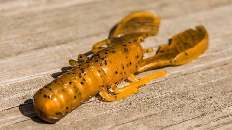 X Zone Lures Muscle Back Craw Review