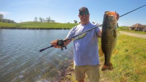 Bank Fishing with Big Swimbaits for Bass