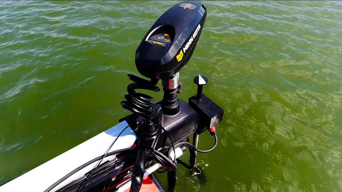 Rite-Hite Turret Livescope Mount Review - Wired2Fish