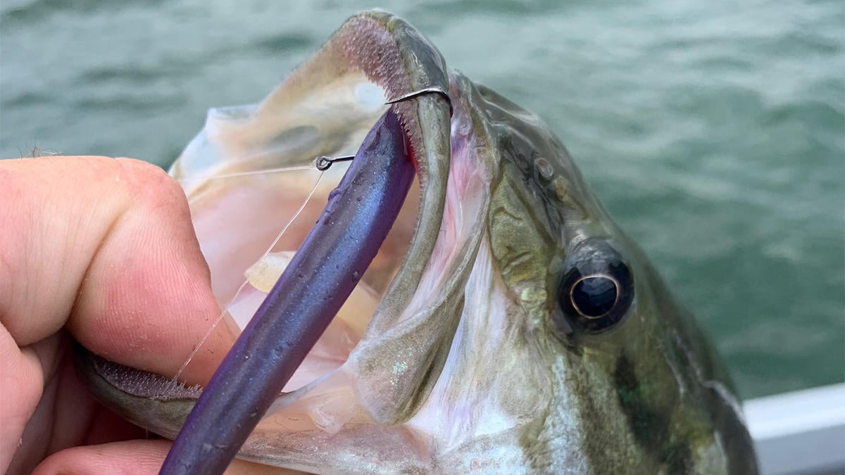 Why Drop Shot Bass Fishing Isn't Always Vertical - Wired2Fish