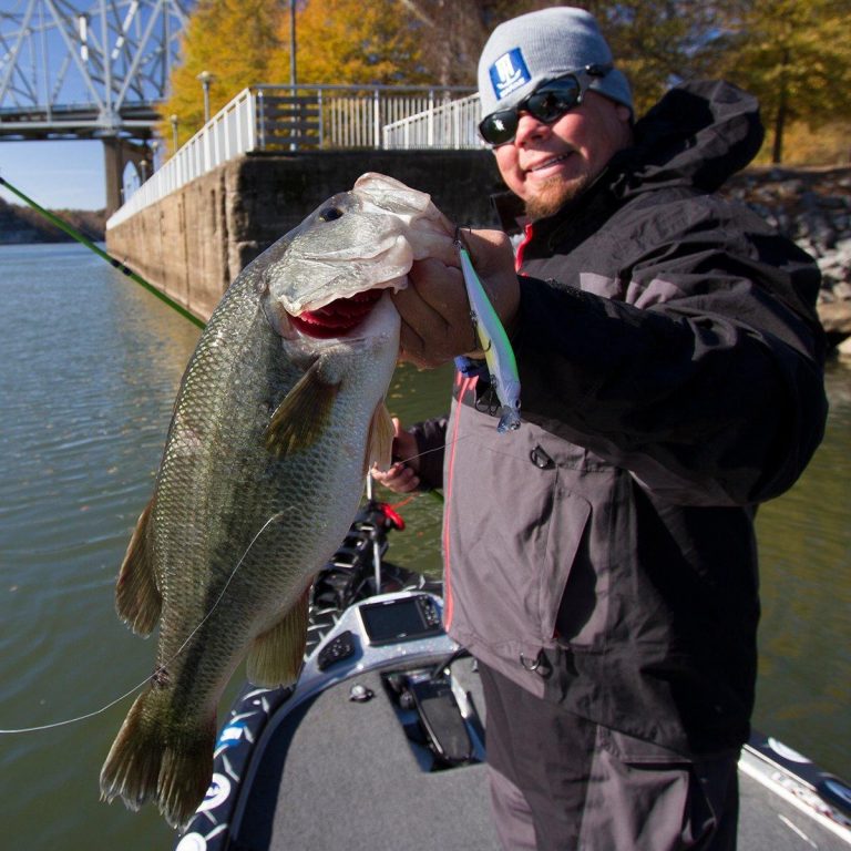 Downtown Strategies for Jerking Winter Bass