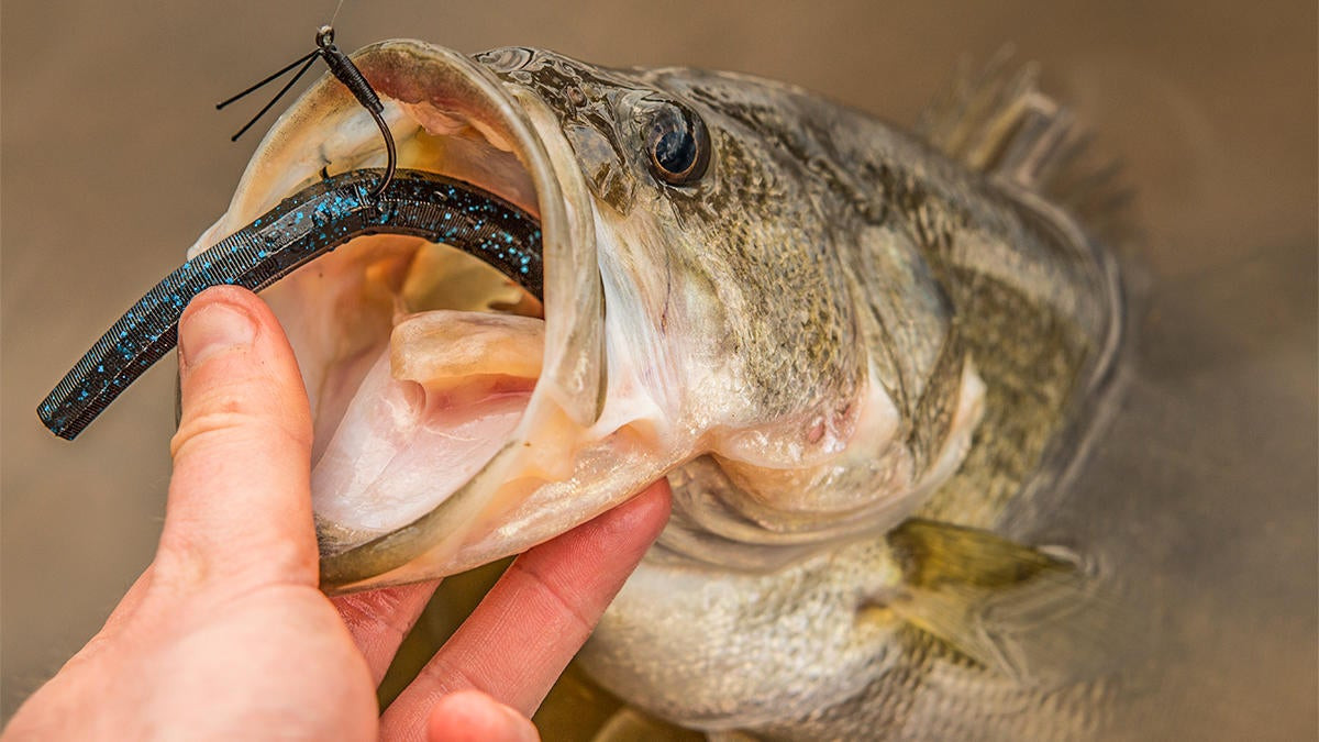 Work with the Water for Bank Fishing Success - Wired2Fish