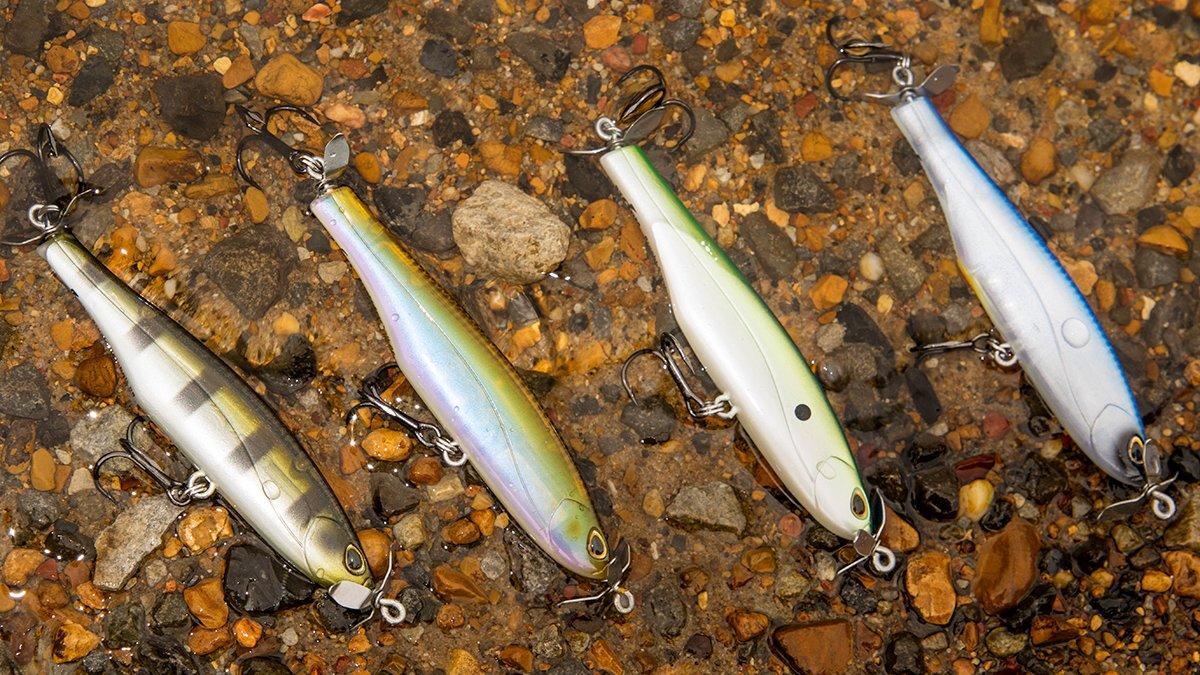 Storm Arashi Spin First Look - Wired2Fish
