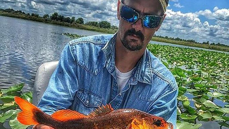 Orange Largemouth Bass Caught in Florida