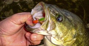 Consider Crappie Lures for Stubborn Bass