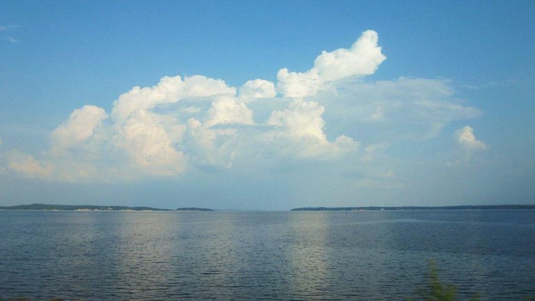 Anglers Cited for Harassment on Toledo Bend