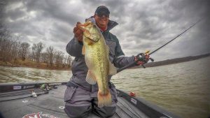 Shallow Crankbait Fishing in the Spring: My Brain Dump