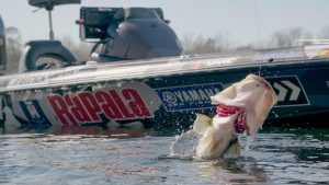 3 Tips for Finding Spring Bass Around Beds