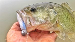 VMC Hybrid Swimbait Jig Review