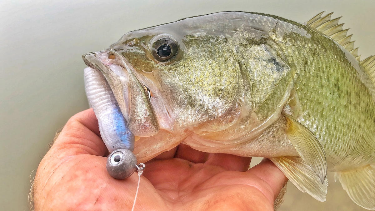 VMC Hybrid Swimbait Jig Review - Wired2Fish